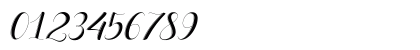 delaney Regular Numeric Preview