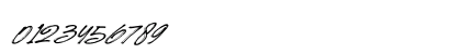 Hotte Brush Italic Regular Preview