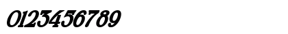 Wilson hawk Italic Preview