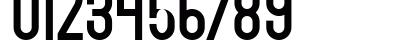Bingke Berendam DEMO Regular Numeric Preview