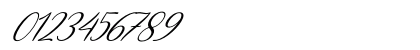 Decembery Italic Regular Numeric Preview