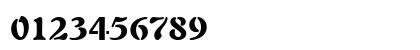 00555 Regular Preview