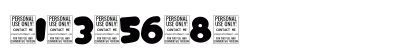 Cat And Dog Regular Numeric Preview