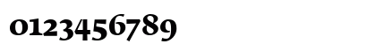 FedraSerifB Regular Numeric Preview