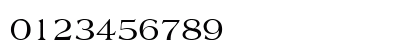 Yale Regular Numeric Preview