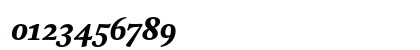 Kingfisher Heavy Italic Numeric Preview