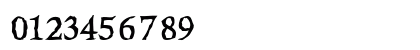 Rise Inside Regular Numeric Preview