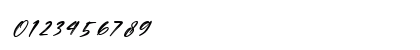 Persistent Italic Numeric Preview