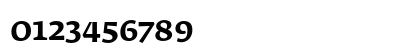 FedraSerifA MediumSC Numeric Preview
