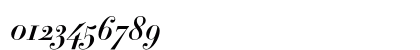 Didot HTF-B16-Bold-Ital Numeric Preview