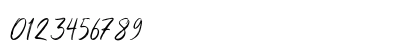 Shutten Reason Free Regular Numeric Preview
