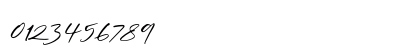 William Costinavel Regular Numeric Preview