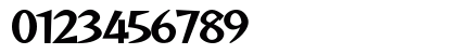 REGGAE by ASLAM Regular Numeric Preview