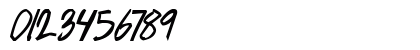 geekriot Bold Italic Numeric Preview