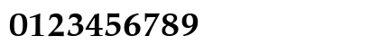Palatino eText Bold Numeric Preview