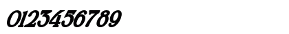Wilson hawk Italic Preview
