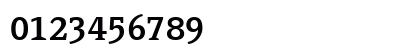 PageSerifTF-DemiBold Regular Numeric Preview