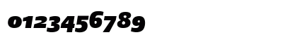 DTLArgoST ItalicHeavy Preview