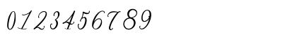 Bernadine Script Regular Preview