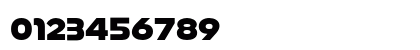 Basenji SemBd Regular Numeric Preview