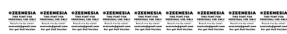 Bilgie Personal Use Only Regular Numeric Preview