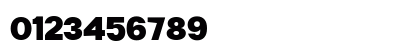 Borscha Black Regular Numeric Preview