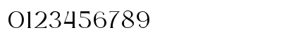 Dudley Castle Regular Numeric Preview