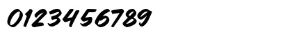 Frosty Fresh Regular Numeric Preview