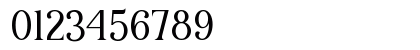 History Nineties Regular Numeric Preview
