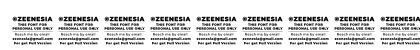Marginal Personal Use Only Regular Numeric Preview