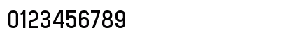 n Nightask Regular Numeric Preview