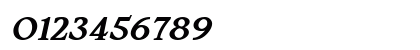 Silent Citadel Bold Italic Numeric Preview
