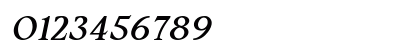 Silent Citadel Italic Numeric Preview