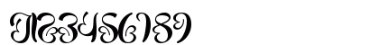 Thanks Beauty Demo Regular Numeric Preview