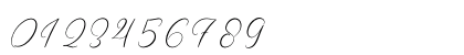 Wenstormy Regular Numeric Preview