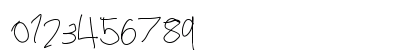 you idiot Regular Numeric Preview