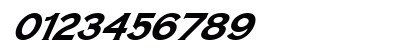 FZ ROMAN 14 ITALIC Light Preview