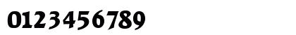Raleigh-Serial-Heavy Regular Preview