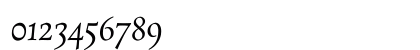 Rosarivo Italic Numeric Preview
