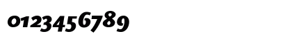 ScalaSans Black Italic Numeric Preview
