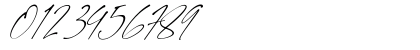 Signatie Regular Numeric Preview