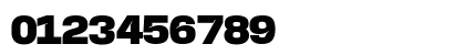 Base Neue Black Wide Regular Numeric Preview