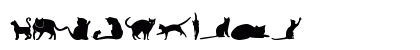 kitty cats tfb Regular Preview