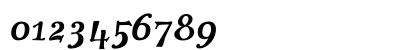 You Suckin' Thief Regular Numeric Preview