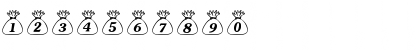 101! Loot BagZ Regular Font