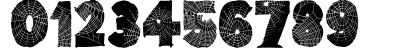 Tarentula's Web Regular Preview