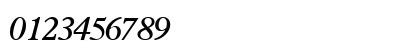 TerminusSSK Bold Italic Preview