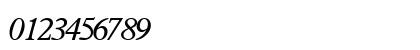 TerminusSSK Italic Preview