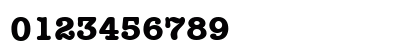 TR Memorandum Bold Preview