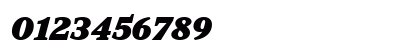 TT Norms Pro Serif Trl Blc It Preview
